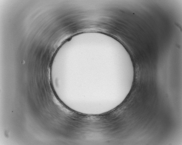 X0000103481476200810100947