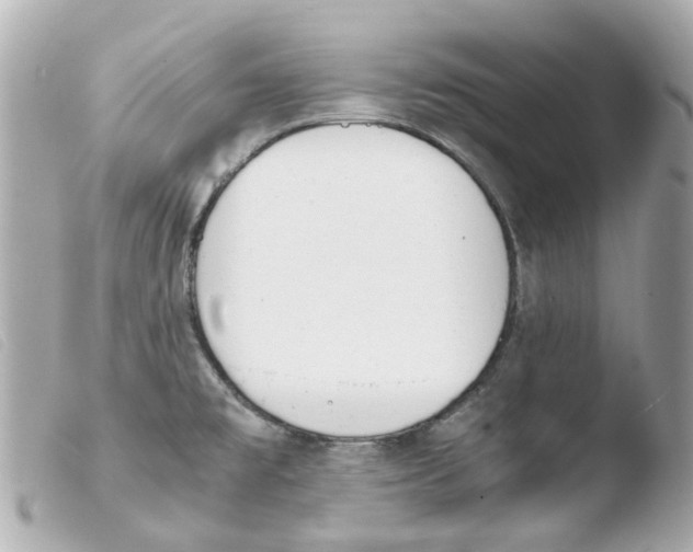X0000103481477200810100947