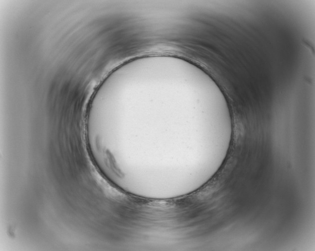 X0000103481478200810100947