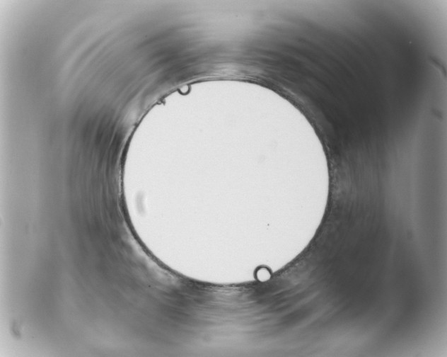 X0000103481479200810100947