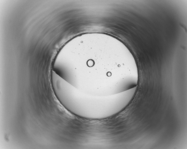 X0000103481480200810100947