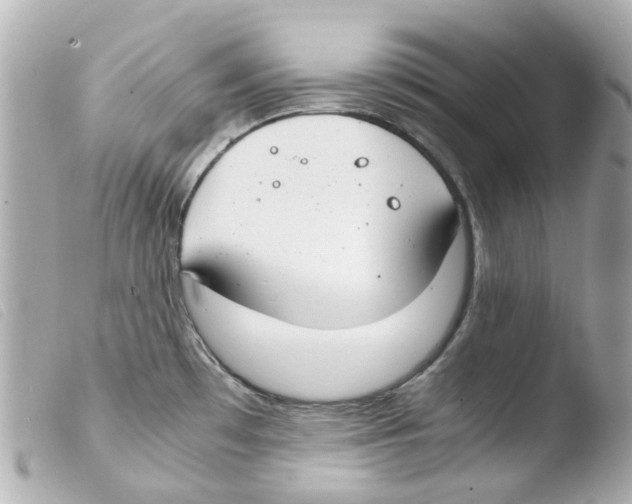 X0000103481481200810100947