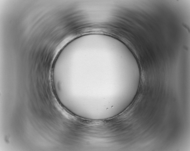 X0000103481482200810100947