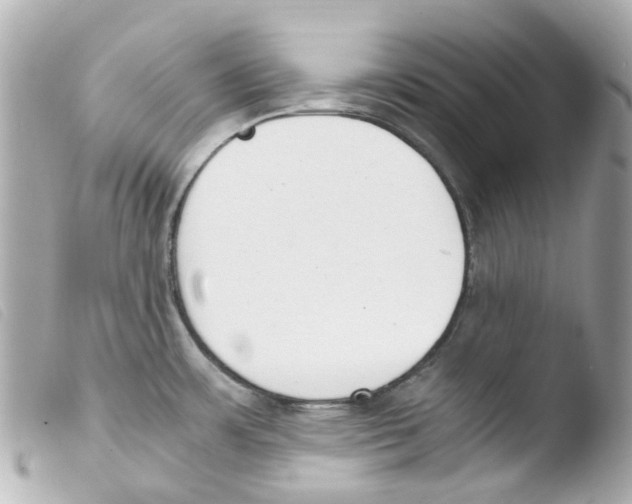 X0000103481483200810100947