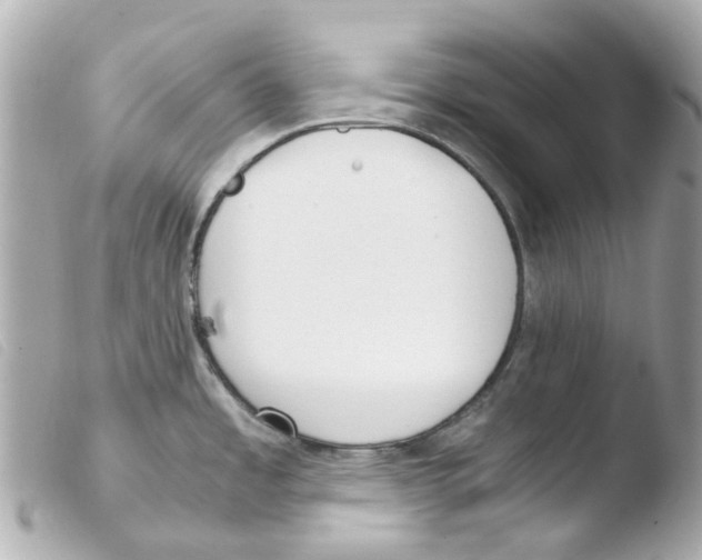 X0000103481485200810100947
