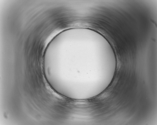 X0000103481486200810100947