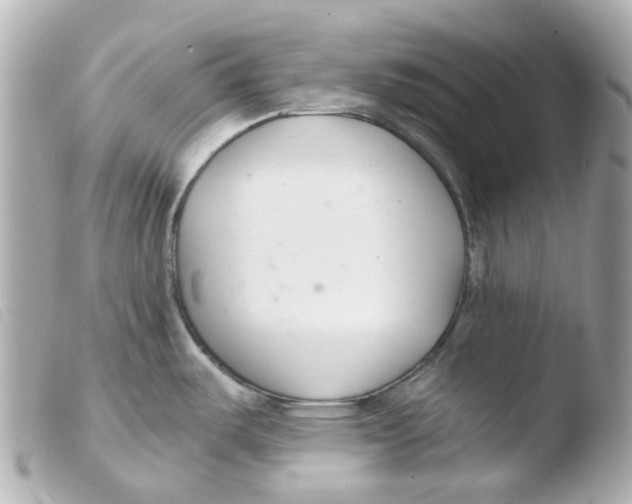 X0000103481487200810100947