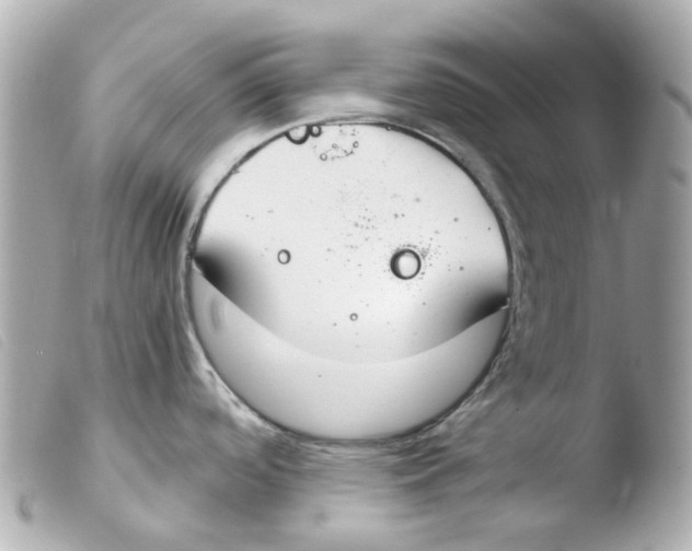 X0000103481488200810100947