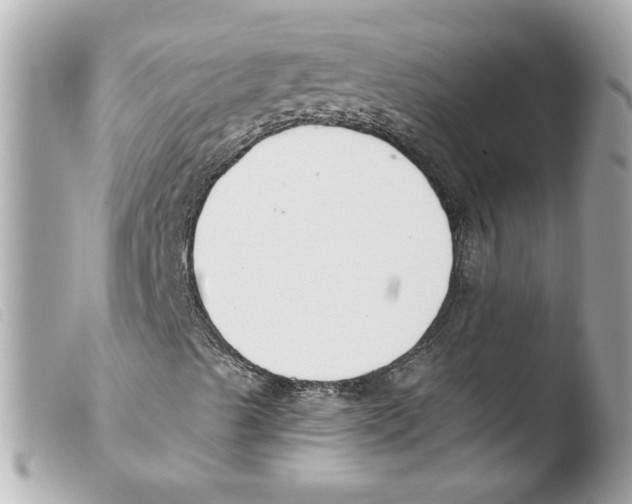 X0000103481489200810100946