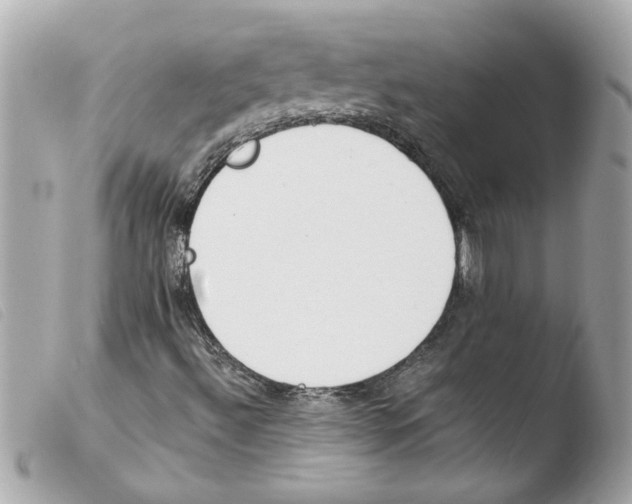 X0000103481492200810100946