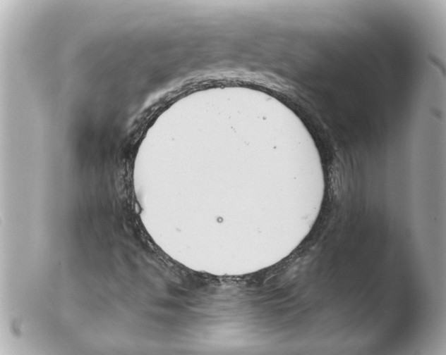 X0000103481494200810100946