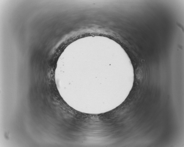X0000103481495200810100946