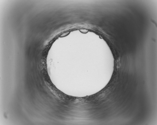 X0000103481496200810100946