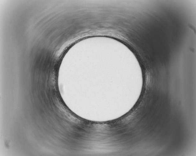 X0000103481498200810100946