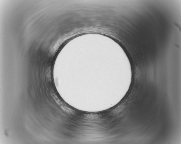 X0000103481499200810100946