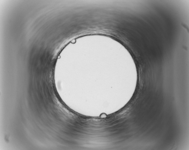 X0000103481500200810100946