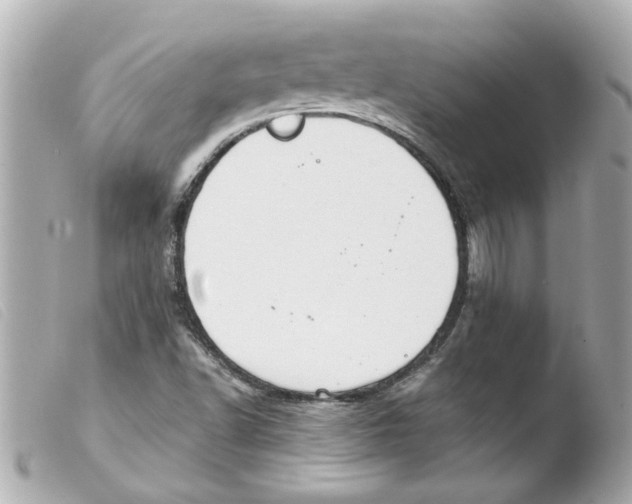 X0000103481502200810100946