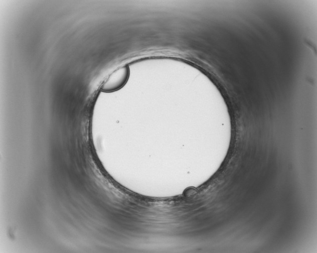 X0000103481504200810100946