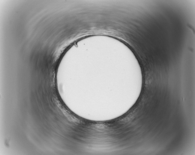 X0000103481507200810100947