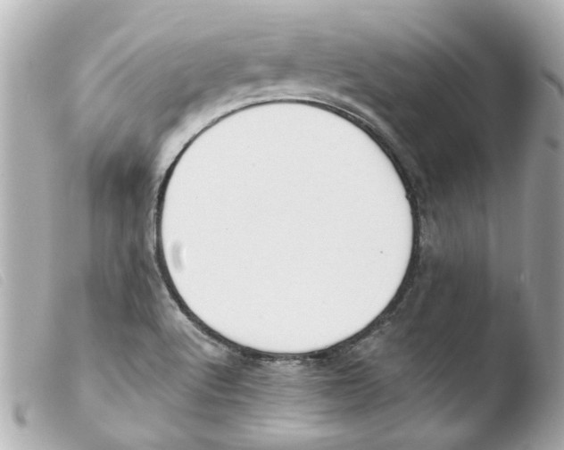 X0000103481512200810100947