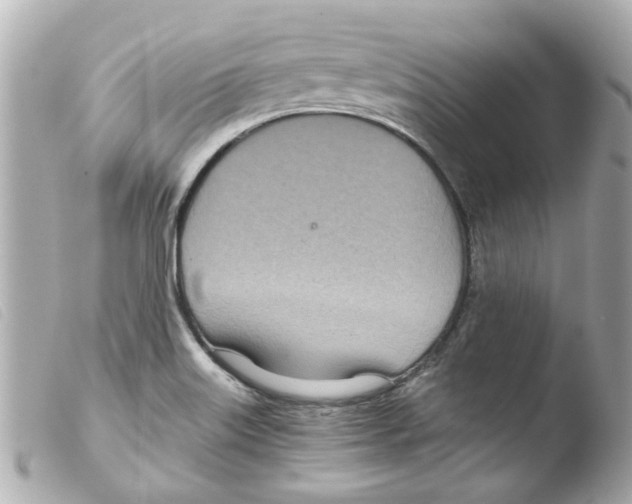 X0000103481515200810100947