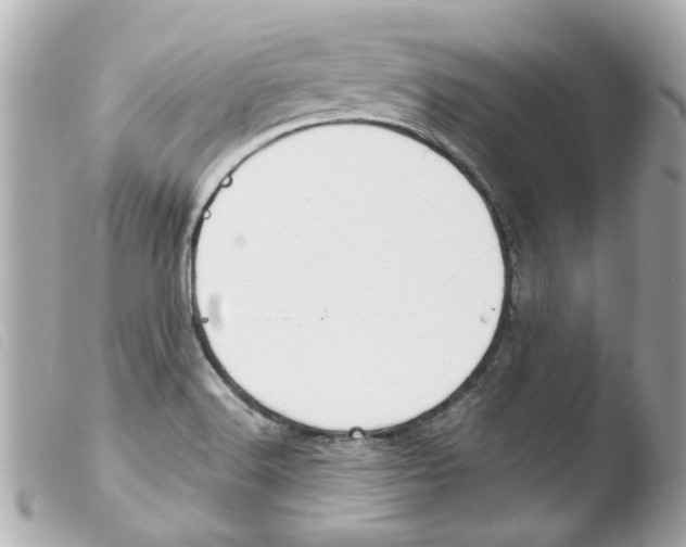 X0000103481516200810100947