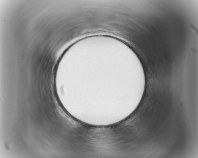 X0000103481518200810100947