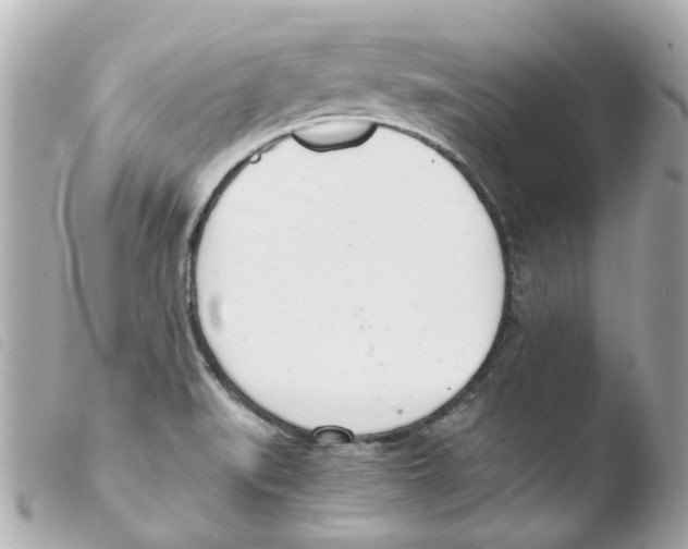 X0000103481519200810100947