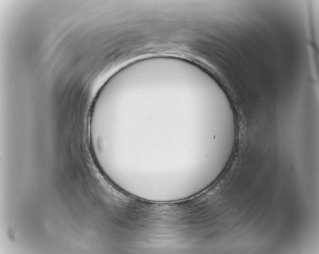 X0000103481520200810100947