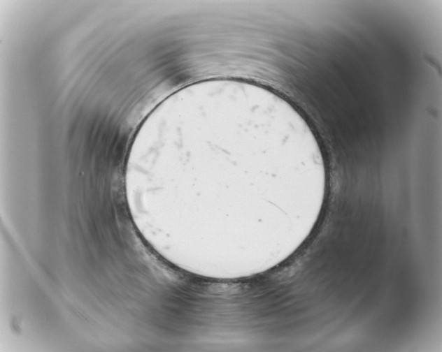 X0000103481521200810100947