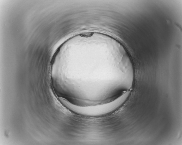 X0000103481522200810100947