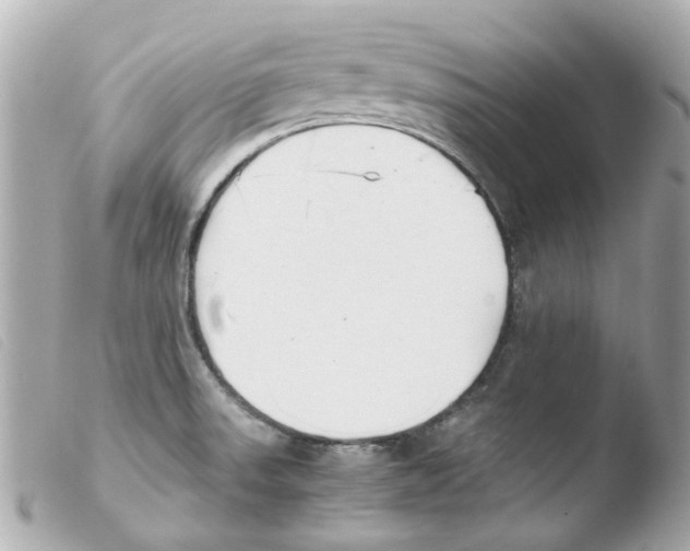 X0000103481523200810100947