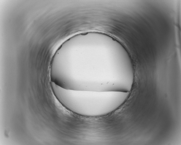 X0000103481524200810100947