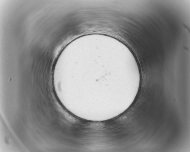 X0000103481525200810100947