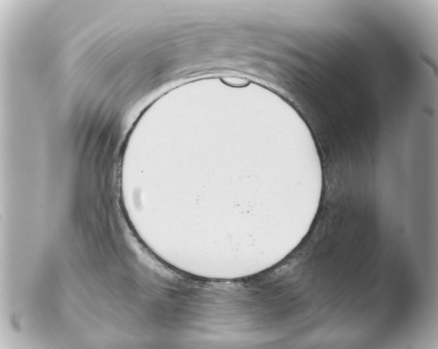X0000103481526200810100947