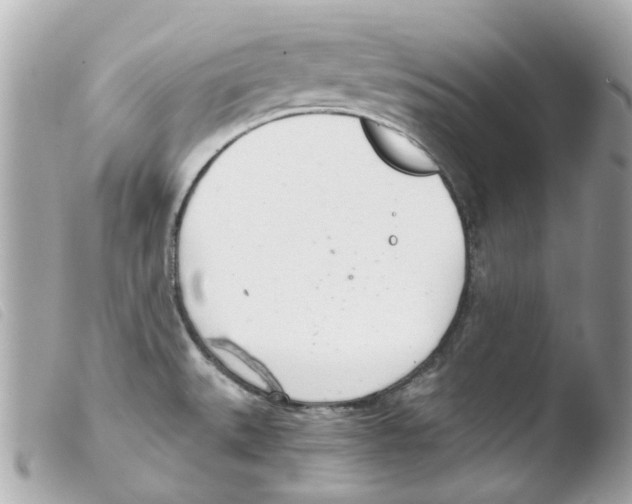 X0000103481527200810100947