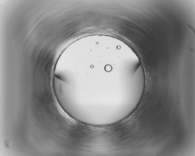 X0000103481528200810100947