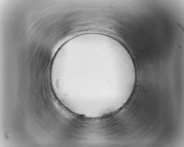 X0000103481530200810100947