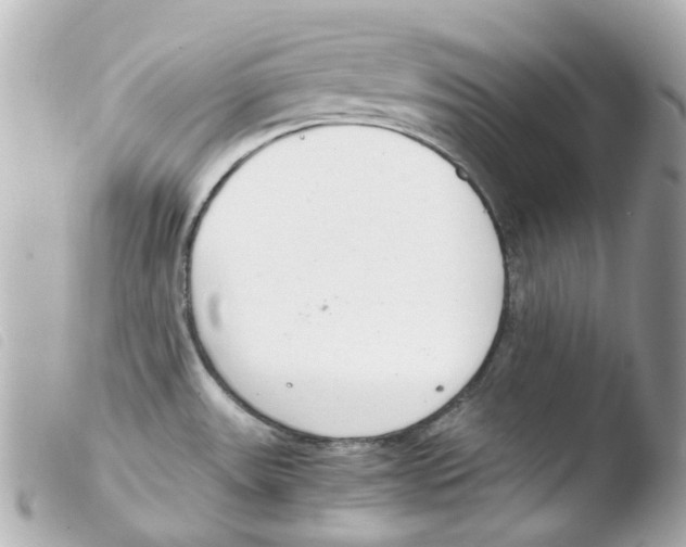 X0000103481531200810100947