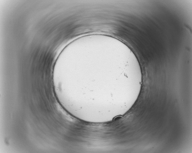 X0000103481532200810100947