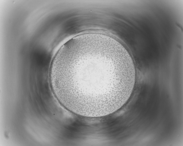 X0000103481533200810100947