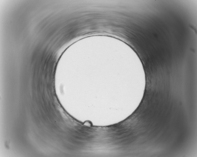 X0000103481534200810100947