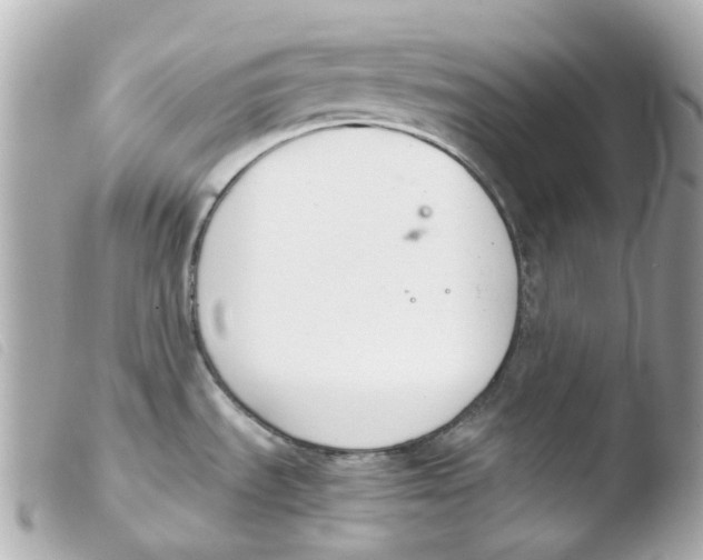 X0000103481535200810100947