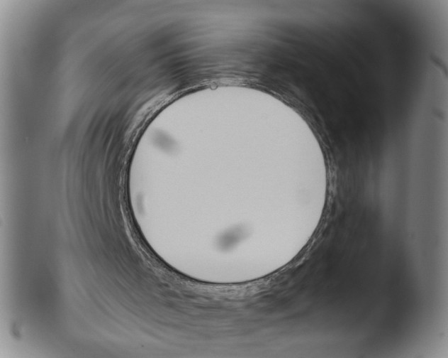 X0000103480001200810241049