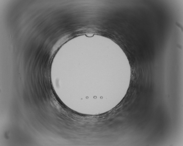X0000103480004200810241049