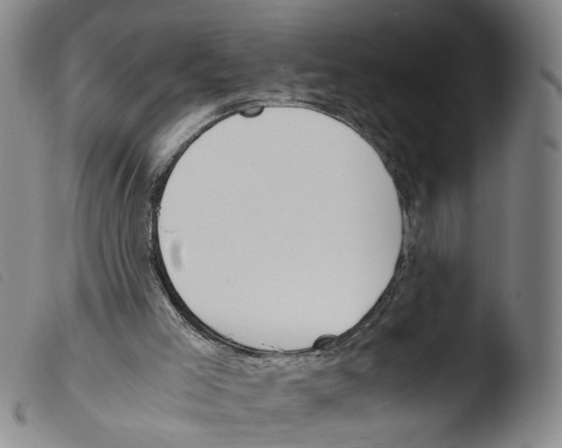 X0000103480005200810241049