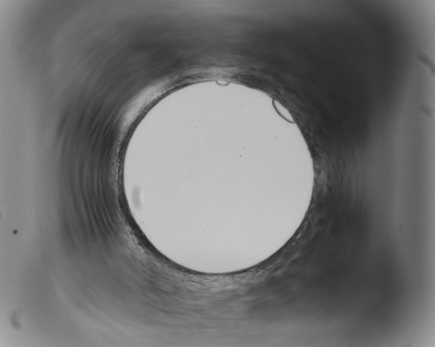 X0000103480006200810241049
