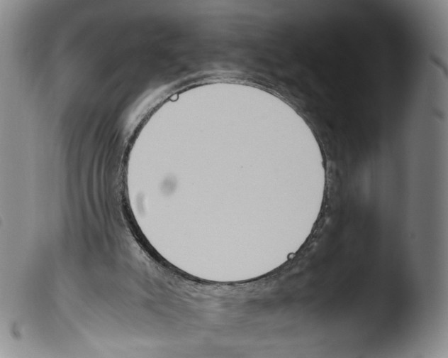 X0000103480007200810241049