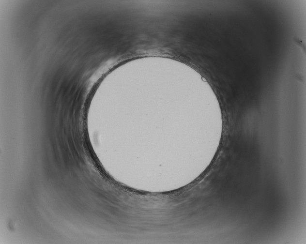X0000103480008200810241049