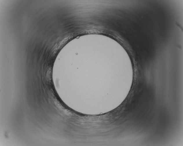 X0000103480009200810241049